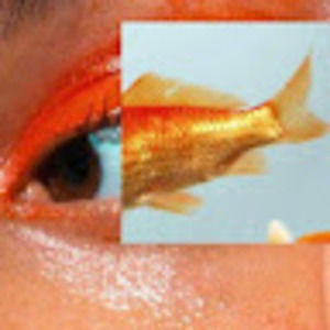 Meet your Posher, Carolina